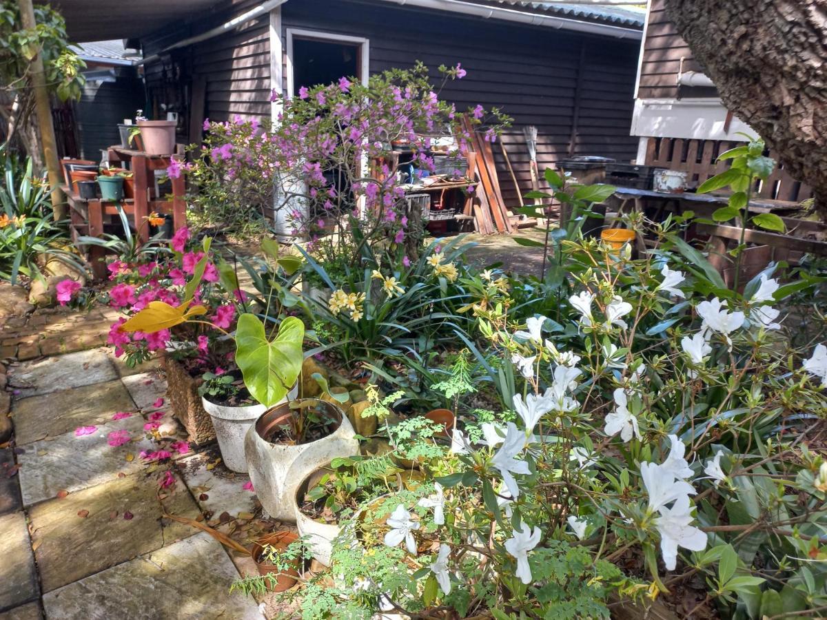 Apartament Glen House Brenton-on-Sea Zewnętrze zdjęcie